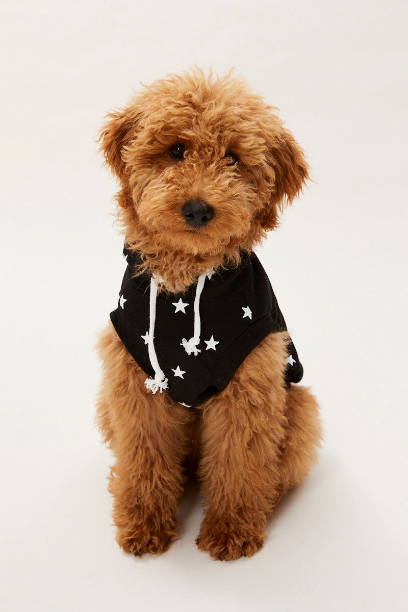 Print Dog Hoodie - Image 4